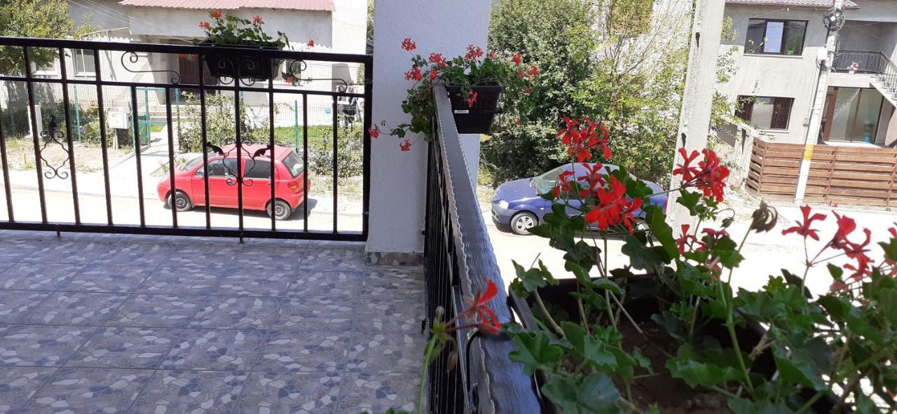 Năvodari Sunshine Apartments المظهر الخارجي الصورة