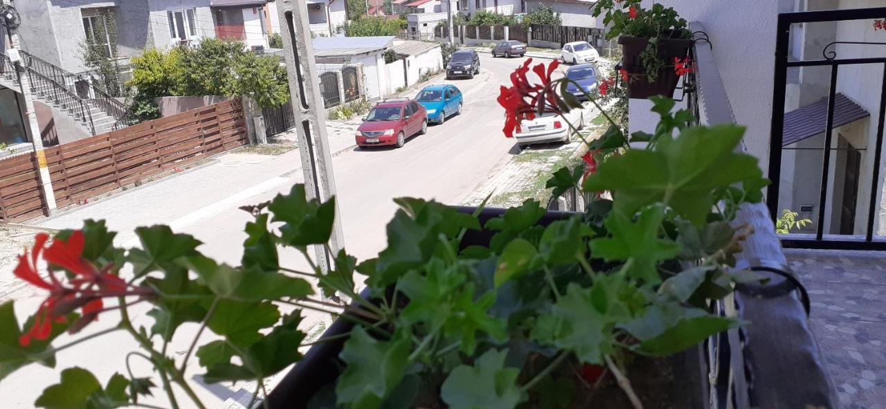 Năvodari Sunshine Apartments المظهر الخارجي الصورة